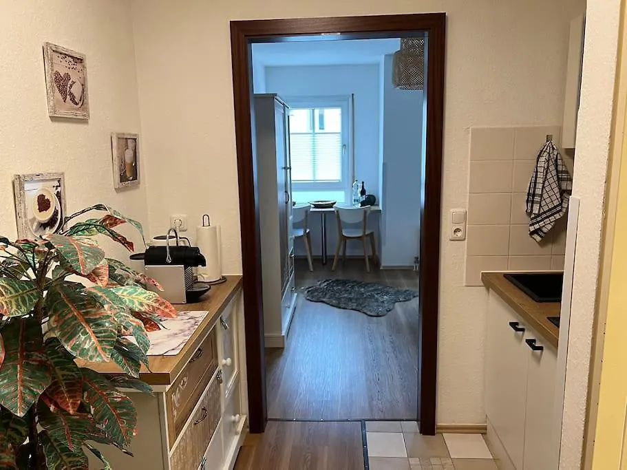 Cozy Suite דרזדן 0*,  גרמניה